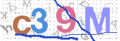 この文字を入力してください
