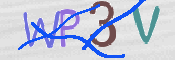 この文字を入力してください