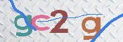 この文字を入力してください