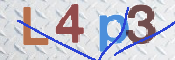 この文字を入力してください