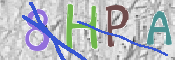 この文字を入力してください