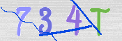 この文字を入力してください