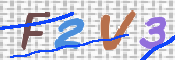 この文字を入力してください