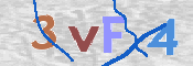 この文字を入力してください