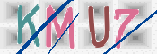 この文字を入力してください