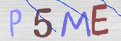この文字を入力してください