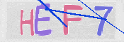 この文字を入力してください