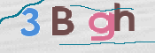 この文字を入力してください