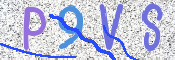 この文字を入力してください