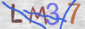 この文字を入力してください