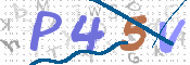 この文字を入力してください