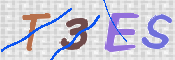 この文字を入力してください