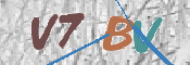 この文字を入力してください