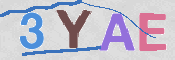 この文字を入力してください