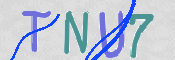 この文字を入力してください