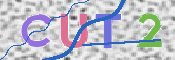 この文字を入力してください