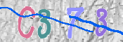 この文字を入力してください