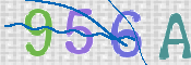 この文字を入力してください