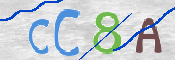 この文字を入力してください