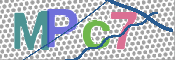 この文字を入力してください