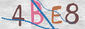 この文字を入力してください
