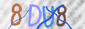 この文字を入力してください