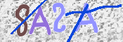 この文字を入力してください