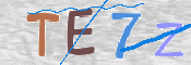 この文字を入力してください