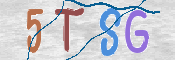 この文字を入力してください