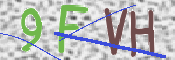 この文字を入力してください