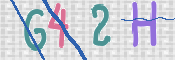 この文字を入力してください