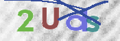 この文字を入力してください