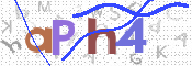 この文字を入力してください
