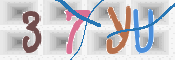 この文字を入力してください