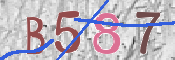 この文字を入力してください