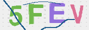 この文字を入力してください