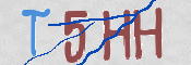 この文字を入力してください