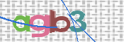 この文字を入力してください