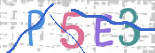この文字を入力してください