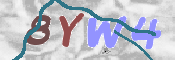 この文字を入力してください