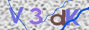 この文字を入力してください