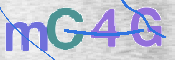 この文字を入力してください