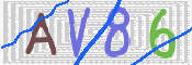 この文字を入力してください