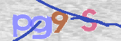 この文字を入力してください