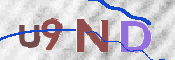 この文字を入力してください