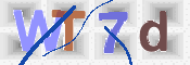 この文字を入力してください