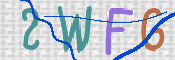 この文字を入力してください