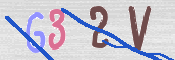 この文字を入力してください