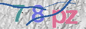 この文字を入力してください