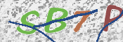 この文字を入力してください